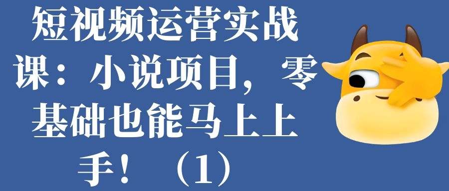 短视频自媒体实战课：小说项目，零基础也能马上上手！（1）