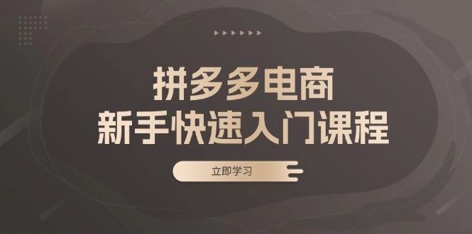 (11.12)拼多多电商新手快速入门课程：涵盖基础、实战与选款，助力小白轻松上手