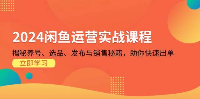 (11.12)2024闲鱼运营实战课程：揭秘养号、选品、发布与销售秘籍，助你快速出单