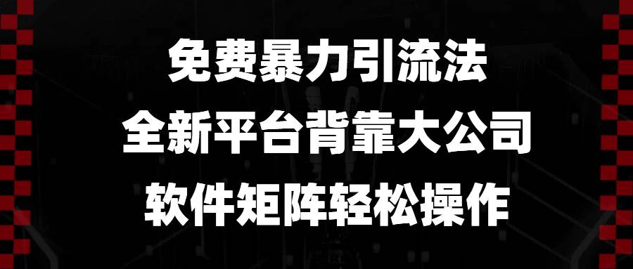 (12.21)免费暴力引流法，全新平台，背靠大公司，软件矩阵轻松操作